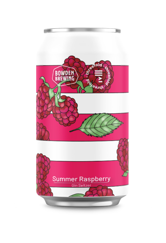 Summer Raspberry Gin Seltzer