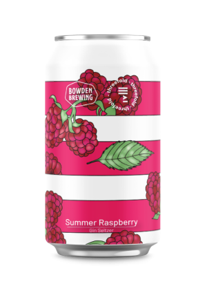 Summer Raspberry Gin Seltzer